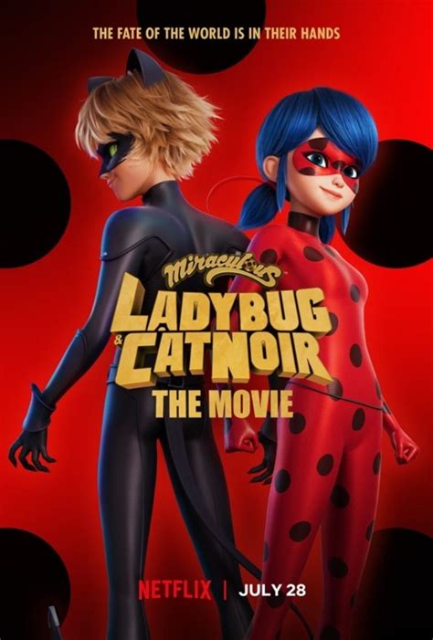 miraculous stagione 5 netflix|Miraculous: Tales of Ladybug and Cat Noir Season 5。